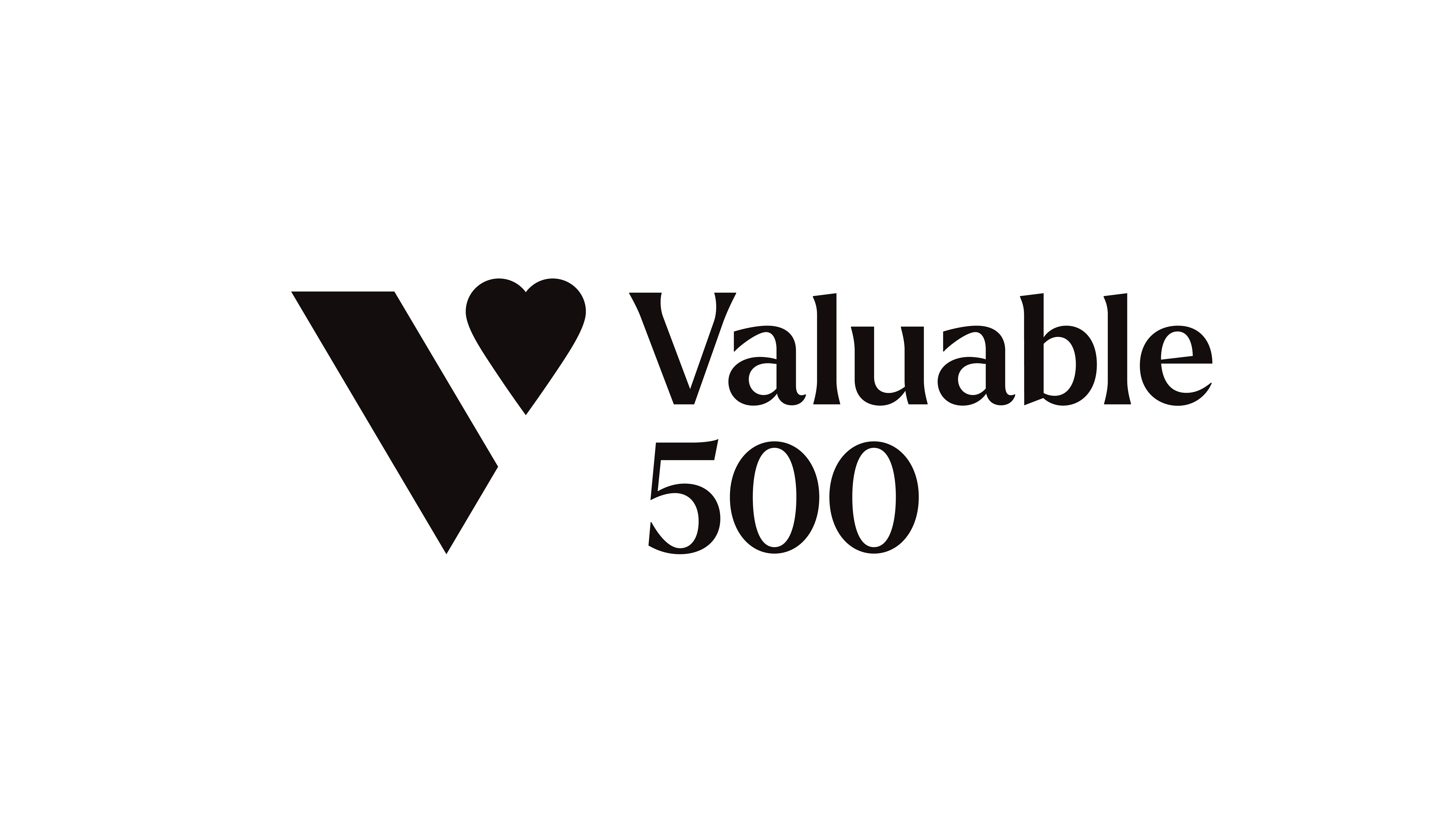 The Valuable 500 (V500) logo